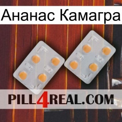 Ананас Камагра 25